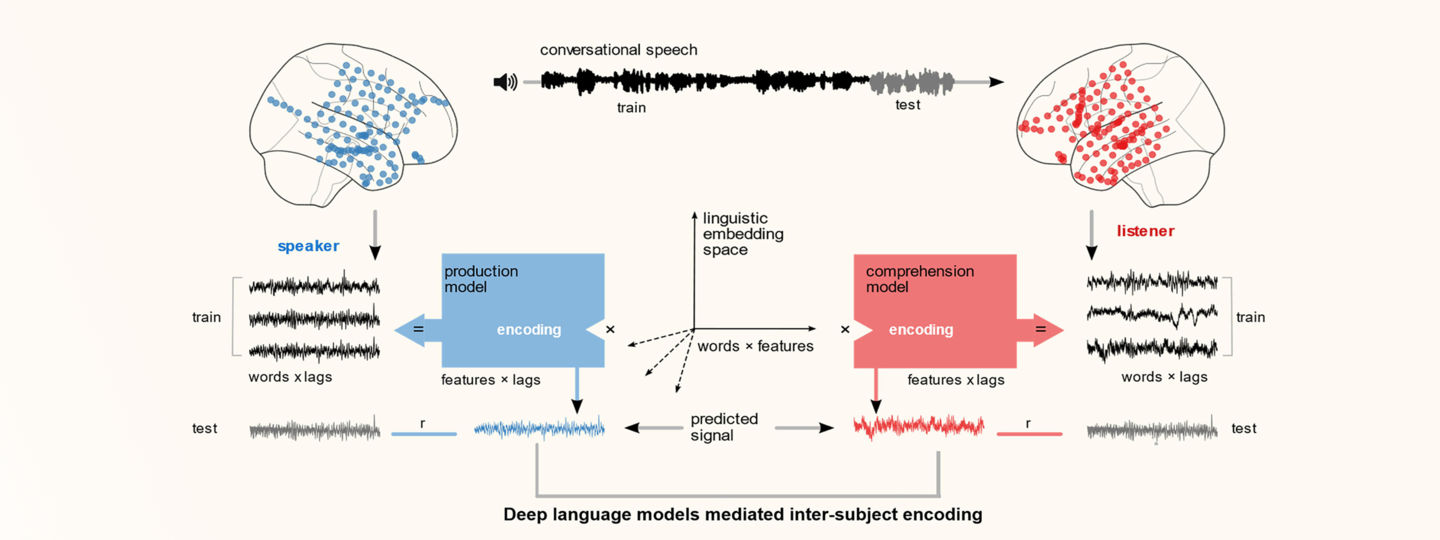 Deep language models mediated inter-subject encoding
